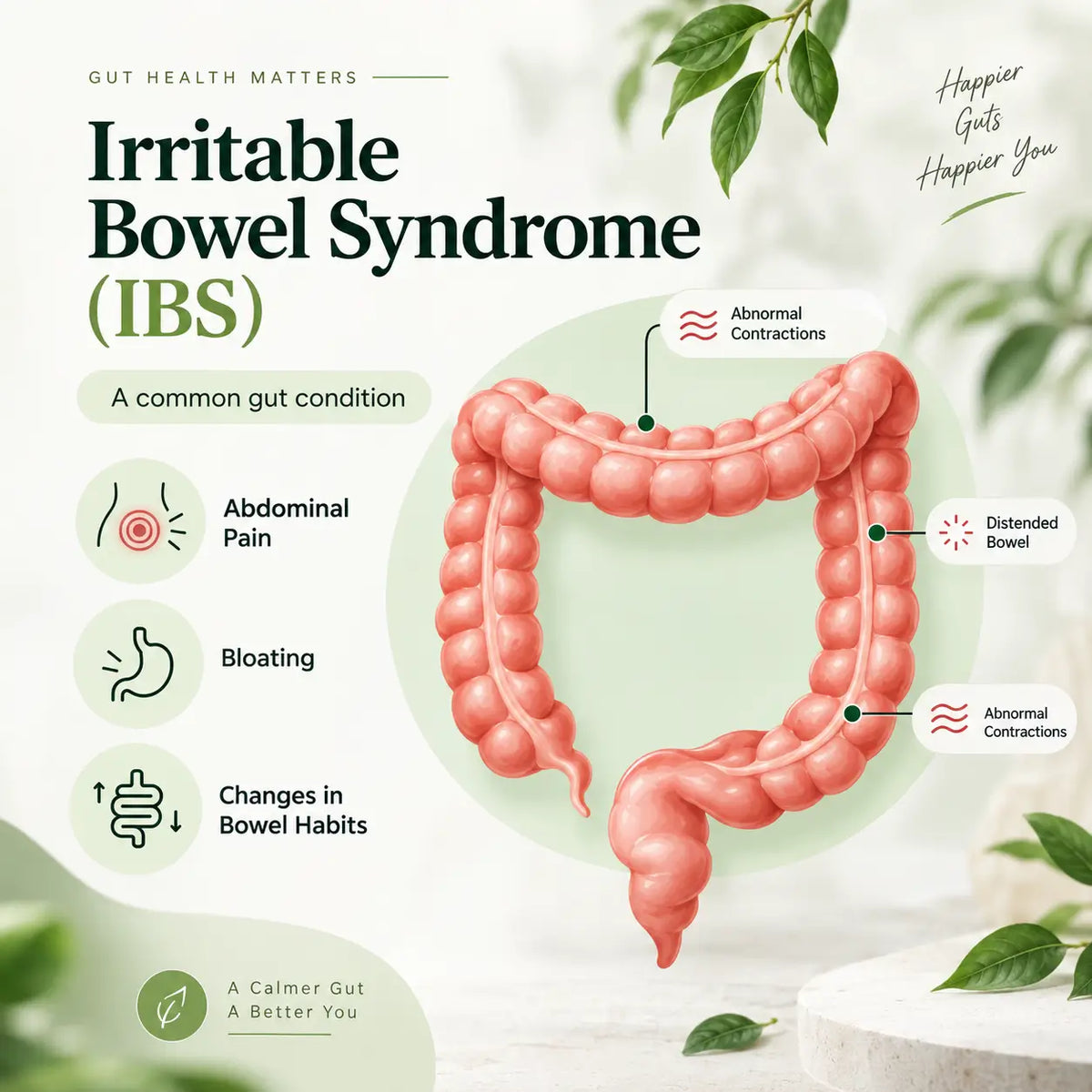 Digestive wellness and gut health